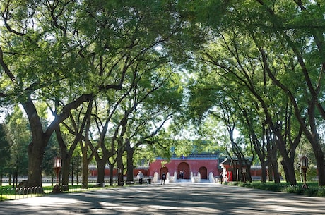北京同济大学(北京同济大学：您必须知道的中国顶尖学府)