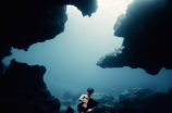 探寻海底世界的奥秘——海底世界的资料