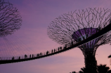 狮城论坛：连接新加坡社区的网络平台
