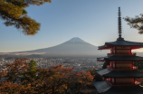 探索NIKKE WIKI：了解日本文化和历史的百科全书