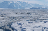 12月17日(12月17日，中国科学家在南极发现新生物种)
